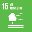 ODD 15 : Vie terrestre